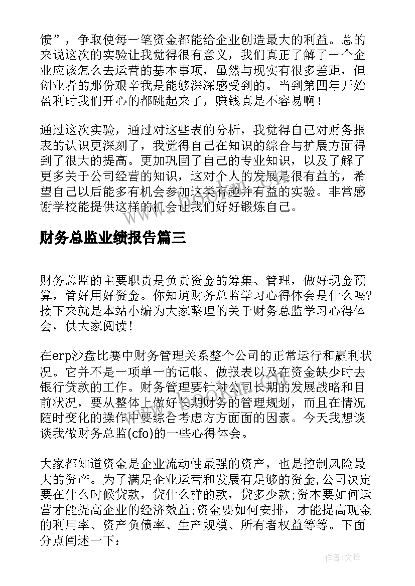 最新财务总监业绩报告(优秀5篇)