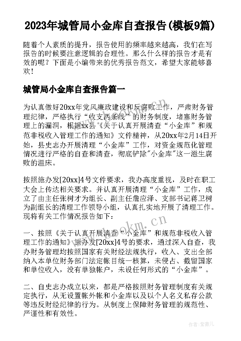 2023年城管局小金库自查报告(模板9篇)