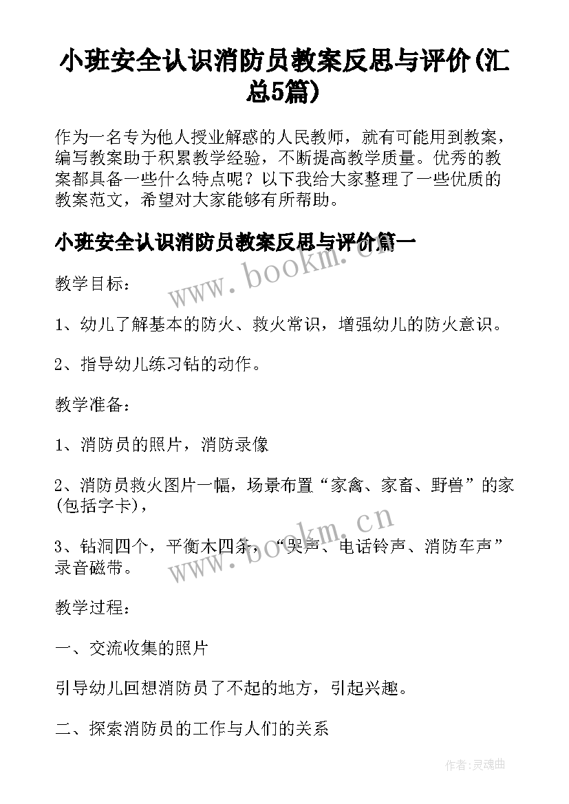 小班安全认识消防员教案反思与评价(汇总5篇)