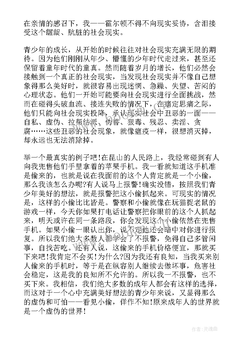 最新麦田里的守望者心得体会 麦田里的守望者读书心得(模板9篇)