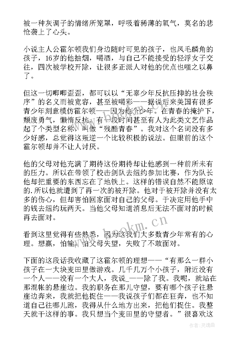 最新麦田里的守望者心得体会 麦田里的守望者读书心得(模板9篇)