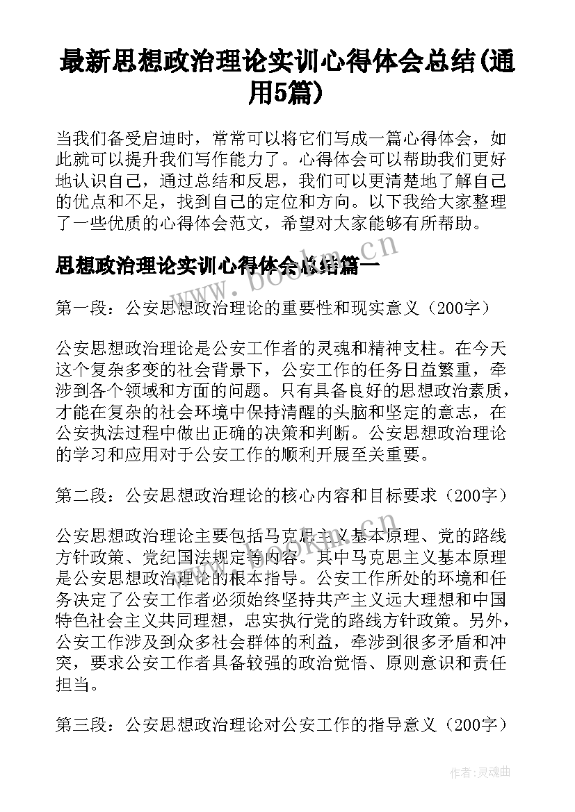 最新思想政治理论实训心得体会总结(通用5篇)