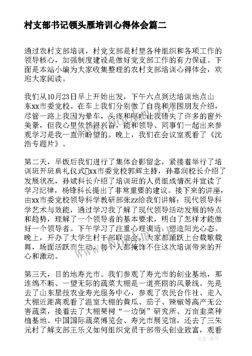 2023年村支部书记领头雁培训心得体会(精选5篇)