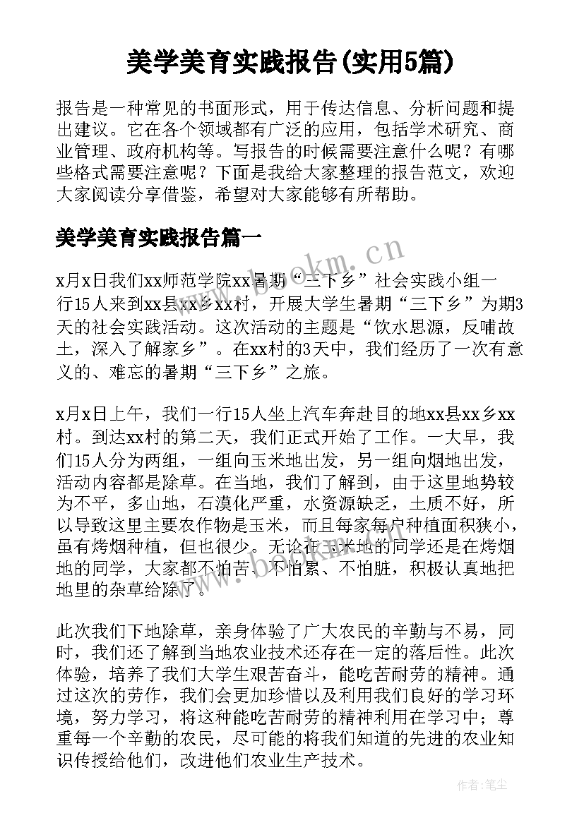 美学美育实践报告(实用5篇)