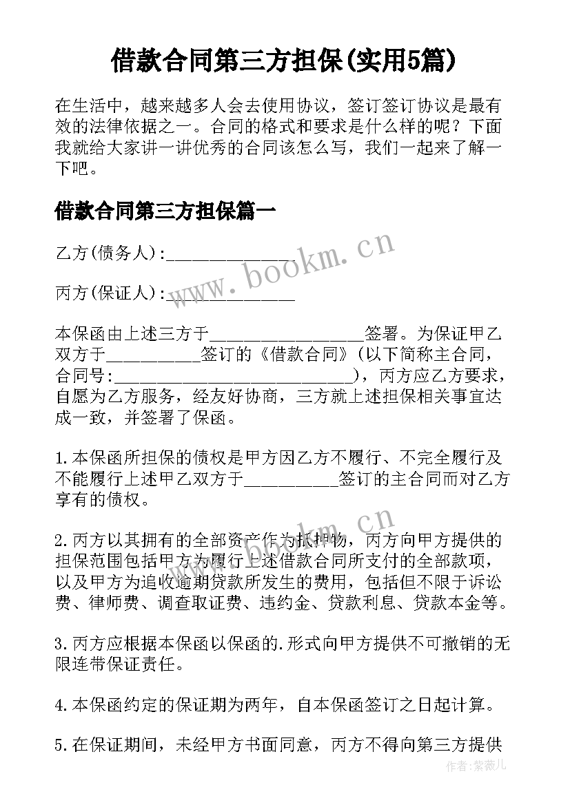 借款合同第三方担保(实用5篇)