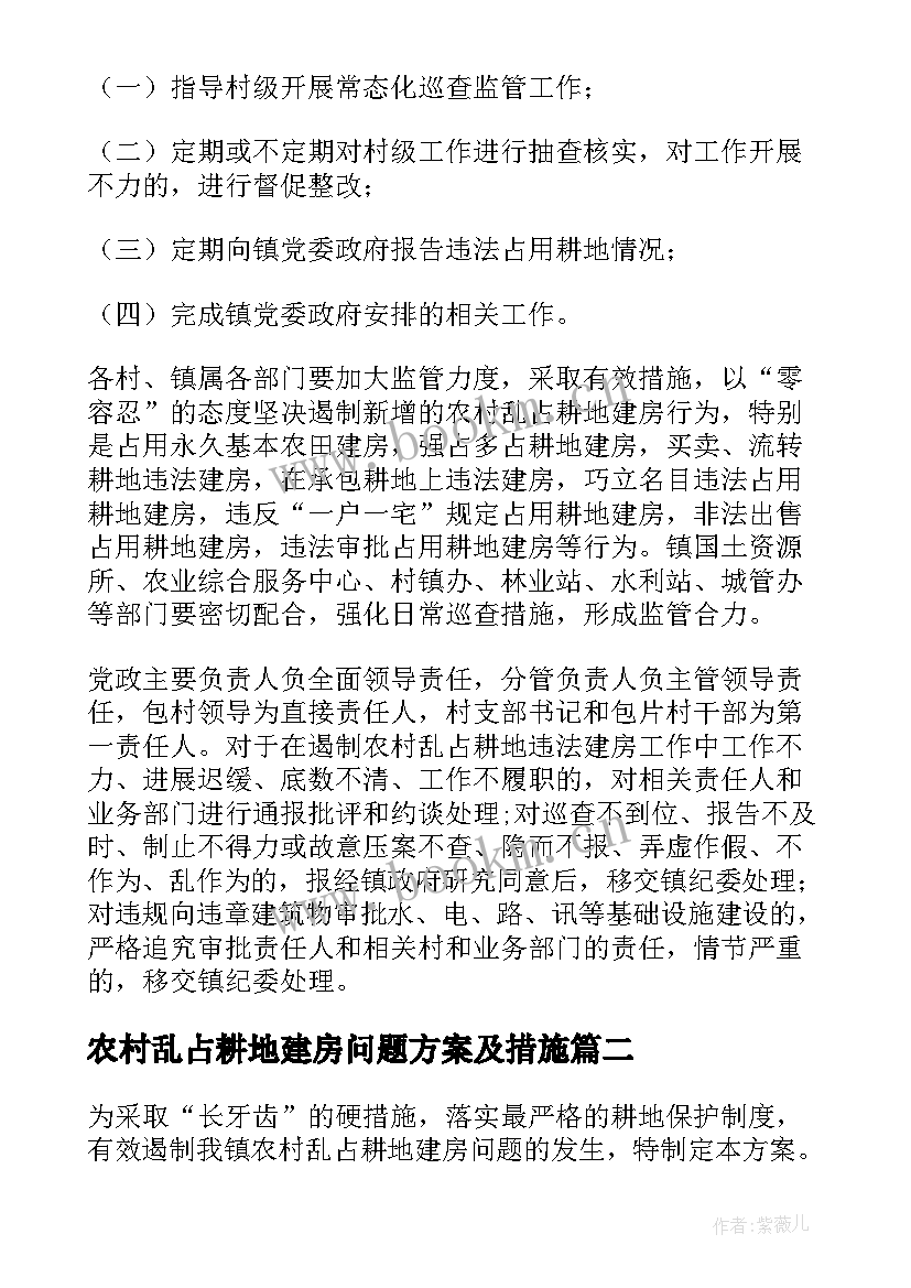 农村乱占耕地建房问题方案及措施(实用5篇)