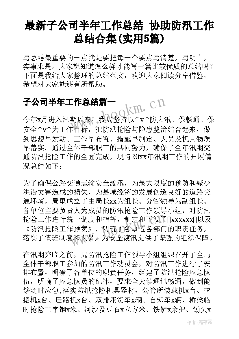 最新子公司半年工作总结 协助防汛工作总结合集(实用5篇)