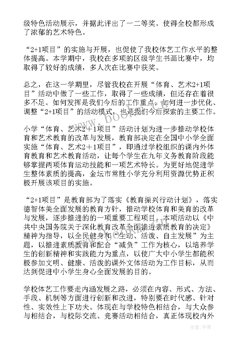 中学体育艺术工作计划总结 体育艺术活动总结(通用10篇)