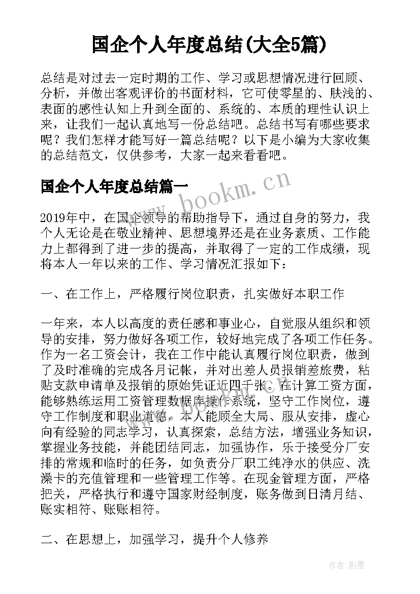 国企个人年度总结(大全5篇)