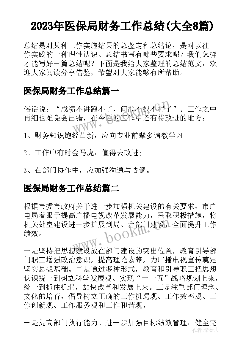 2023年医保局财务工作总结(大全8篇)