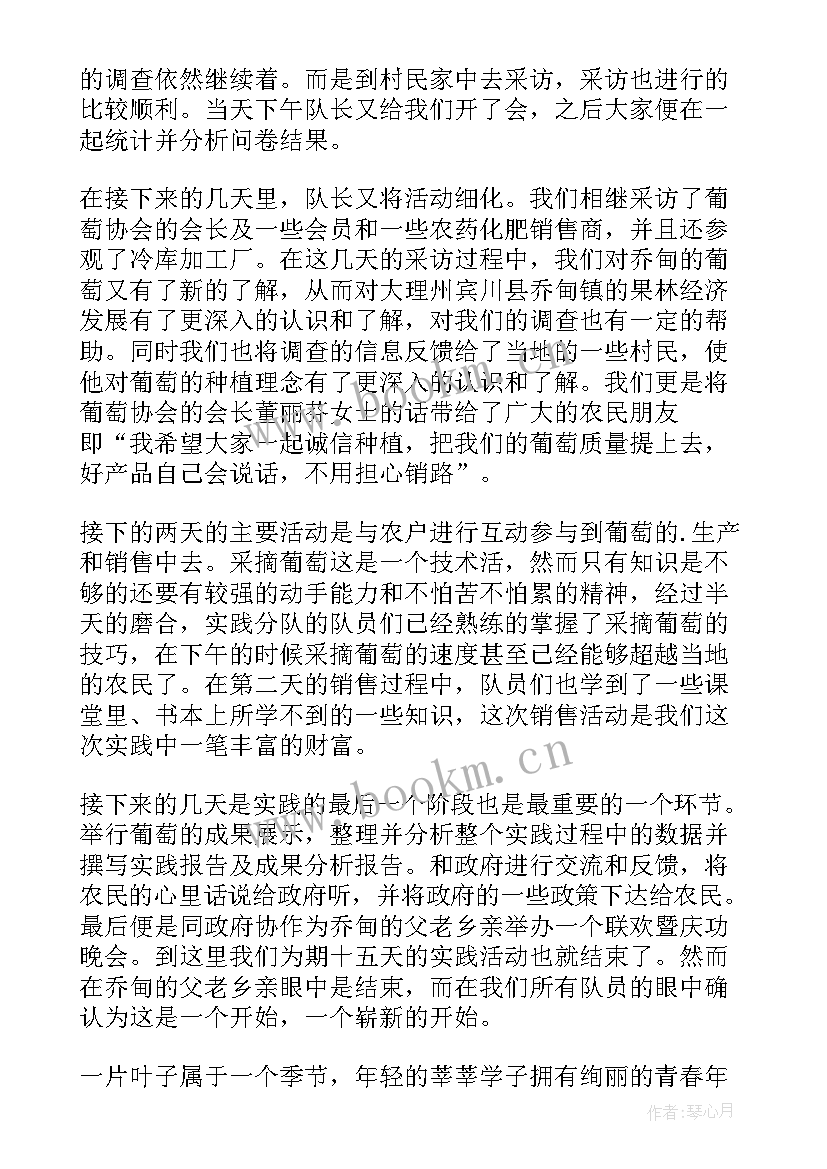 最新高校教师实践锻炼 暑期小学教师教学社会实践心得报告(精选5篇)