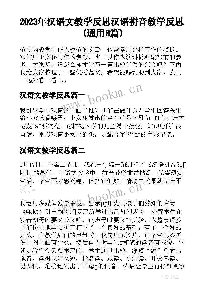 2023年汉语文教学反思 汉语拼音教学反思(通用8篇)