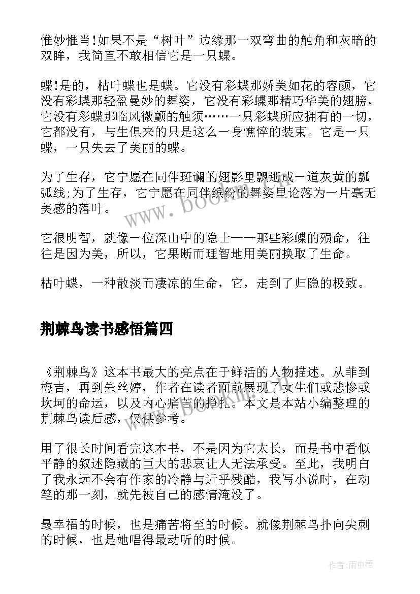 2023年荆棘鸟读书感悟(优秀9篇)