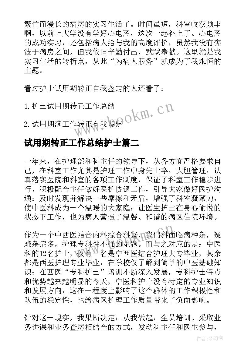 试用期转正工作总结护士(精选5篇)