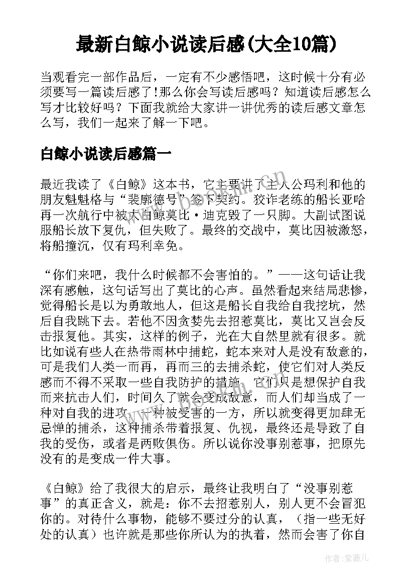 最新白鲸小说读后感(大全10篇)