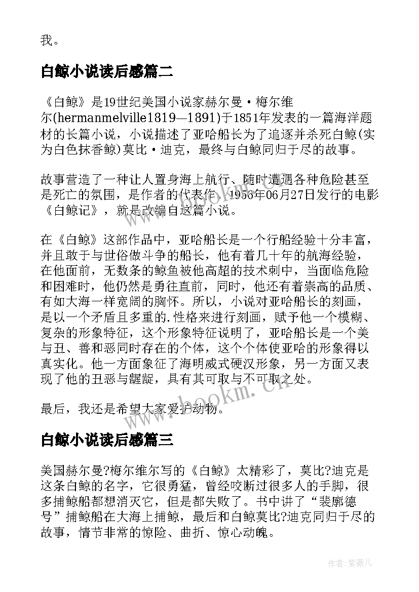 最新白鲸小说读后感(大全10篇)