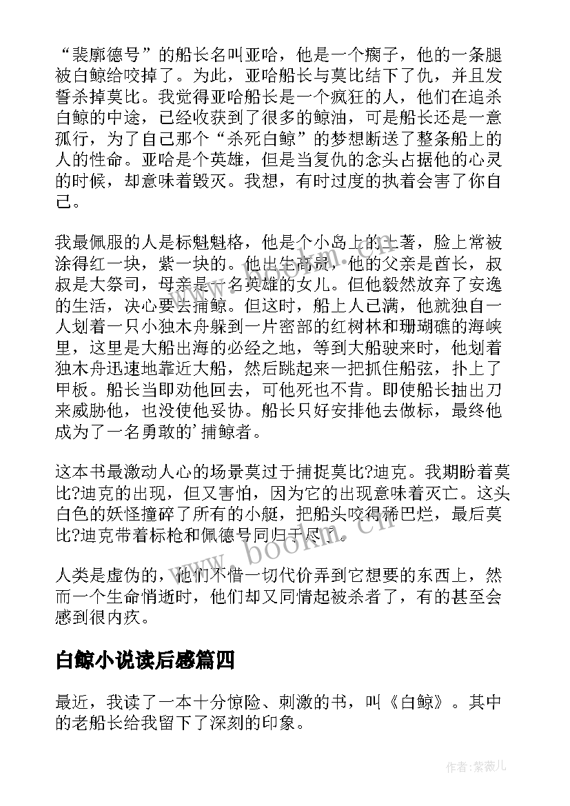 最新白鲸小说读后感(大全10篇)