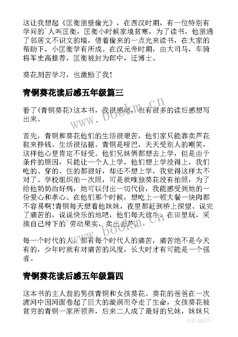 青铜葵花读后感五年级 青铜葵花三年级读后感(优秀8篇)