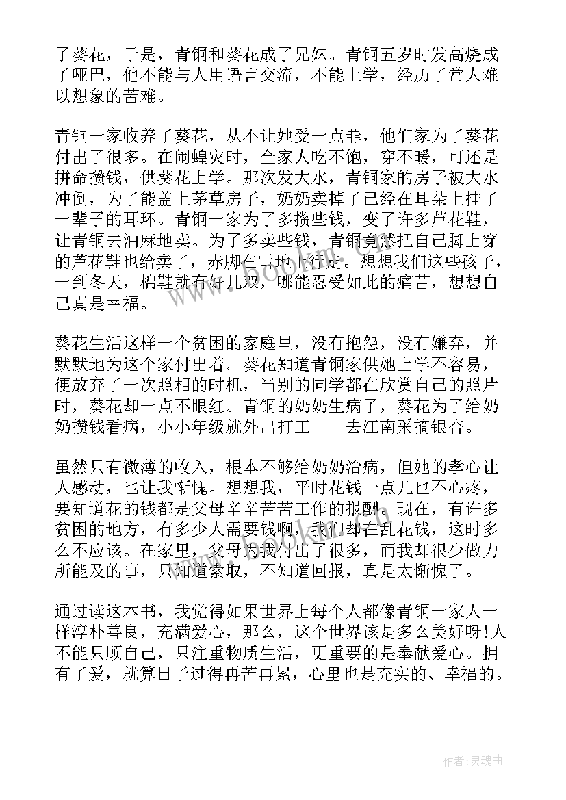 青铜葵花读后感高中(实用8篇)