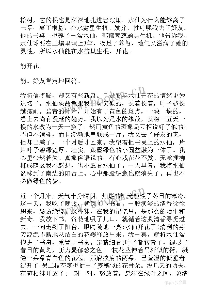 最新水仙花的唯美散文摘抄 水仙花的唯美散文(优质5篇)