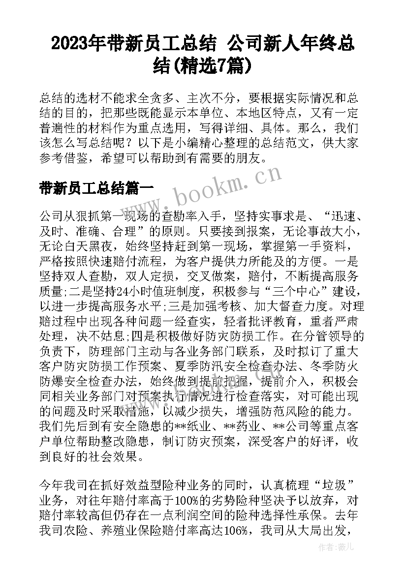 2023年带新员工总结 公司新人年终总结(精选7篇)