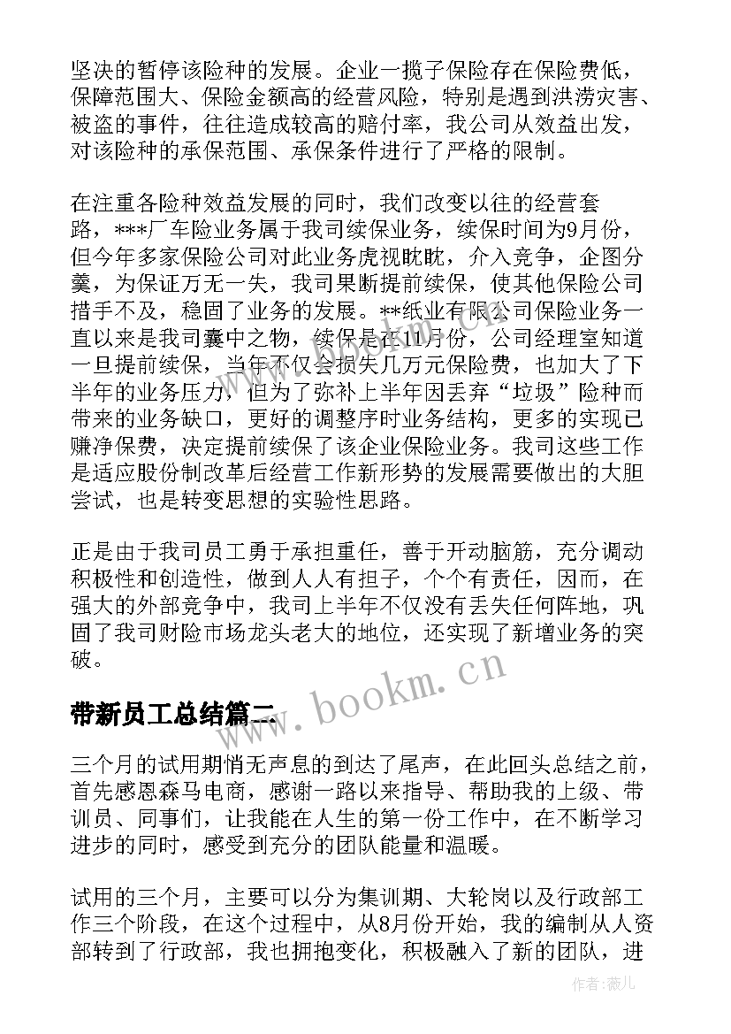 2023年带新员工总结 公司新人年终总结(精选7篇)