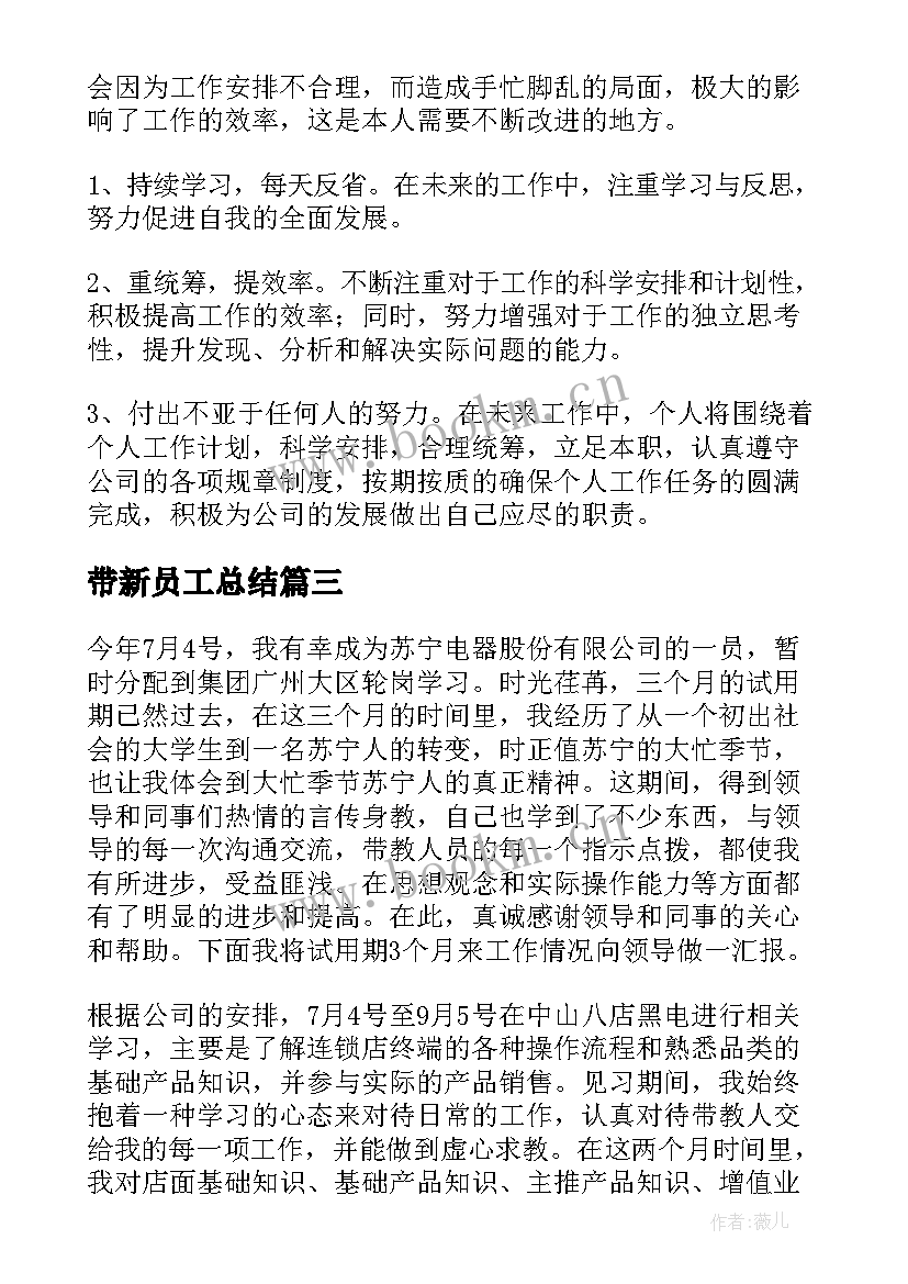 2023年带新员工总结 公司新人年终总结(精选7篇)