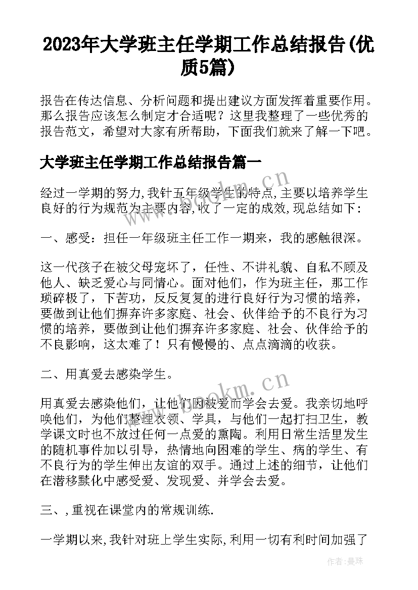 2023年大学班主任学期工作总结报告(优质5篇)