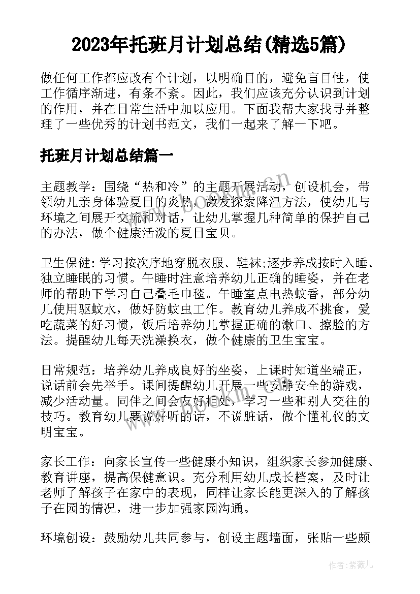 2023年托班月计划总结(精选5篇)