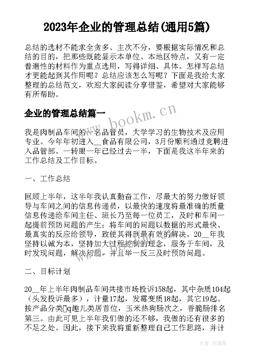 2023年企业的管理总结(通用5篇)