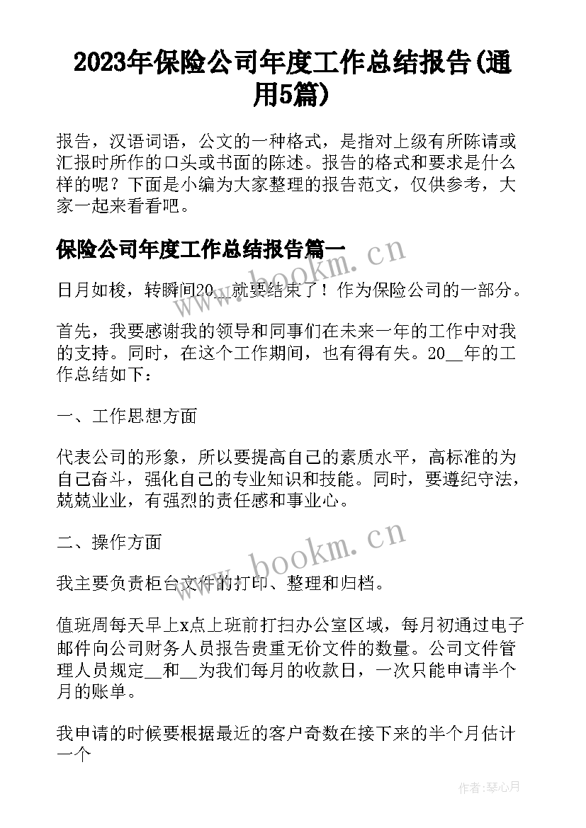 2023年保险公司年度工作总结报告(通用5篇)