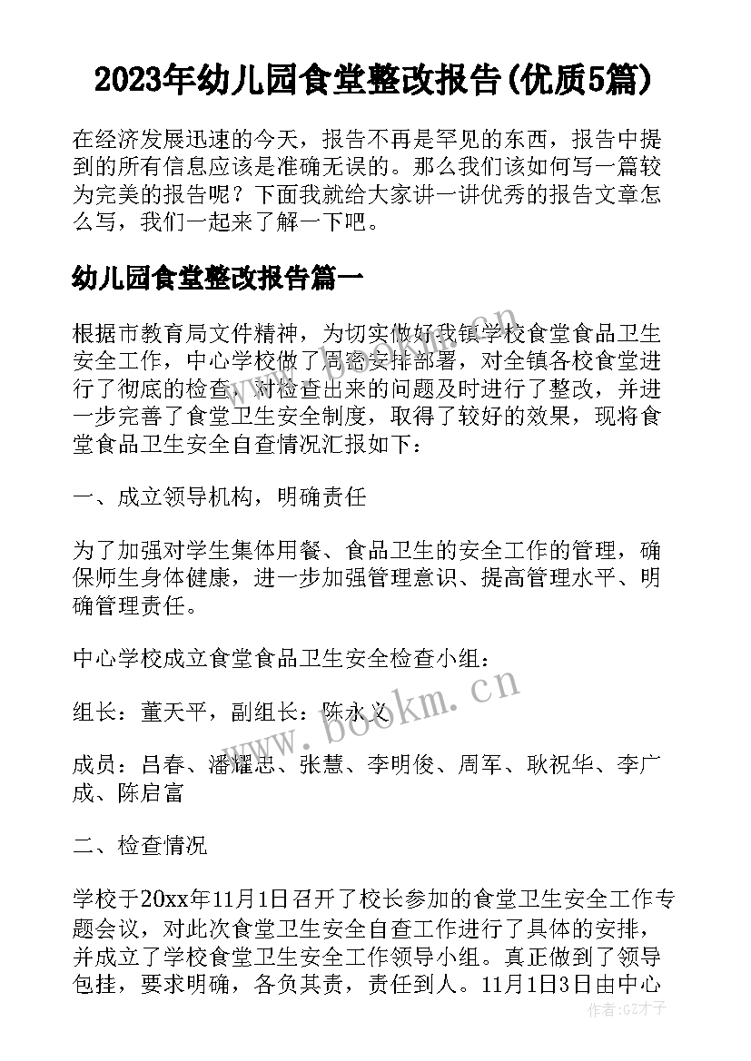 2023年幼儿园食堂整改报告(优质5篇)