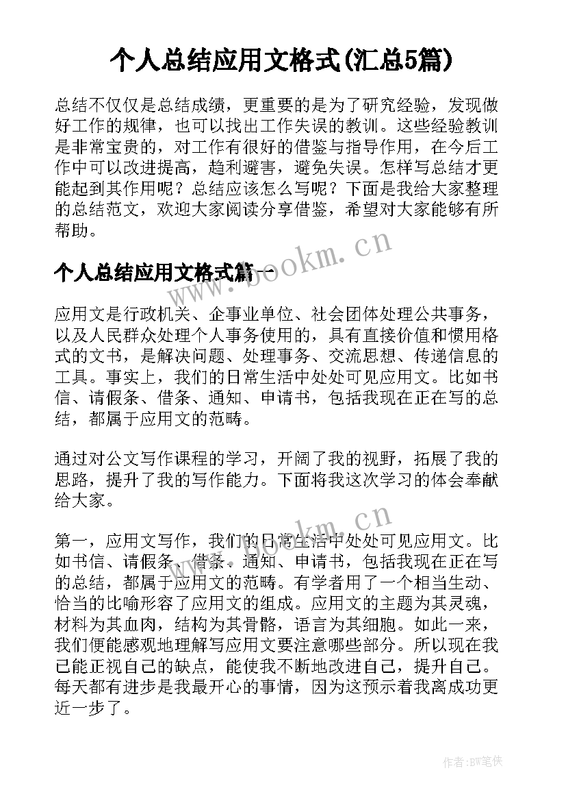 个人总结应用文格式(汇总5篇)