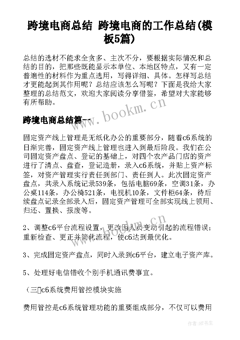 跨境电商总结 跨境电商的工作总结(模板5篇)