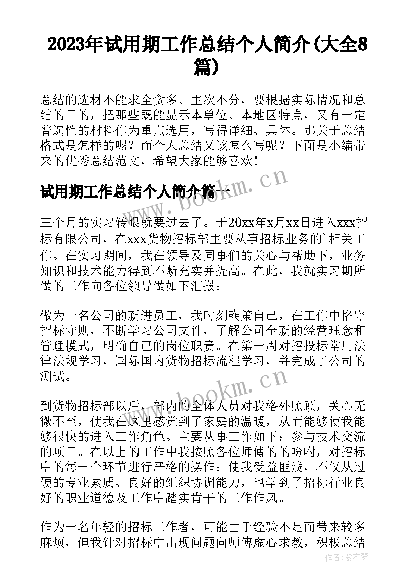 2023年试用期工作总结个人简介(大全8篇)