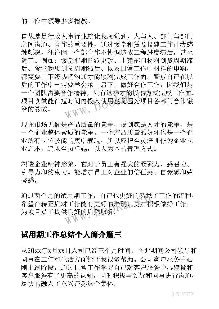 2023年试用期工作总结个人简介(大全8篇)