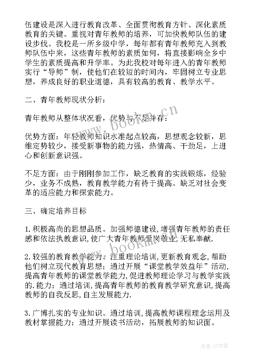 2023年导师指导青年教师计划方案(优秀9篇)