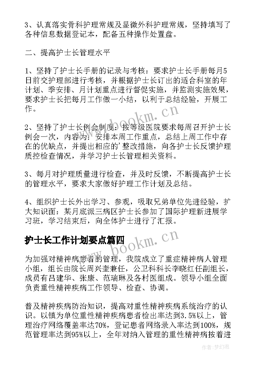 最新护士长工作计划要点(优秀6篇)