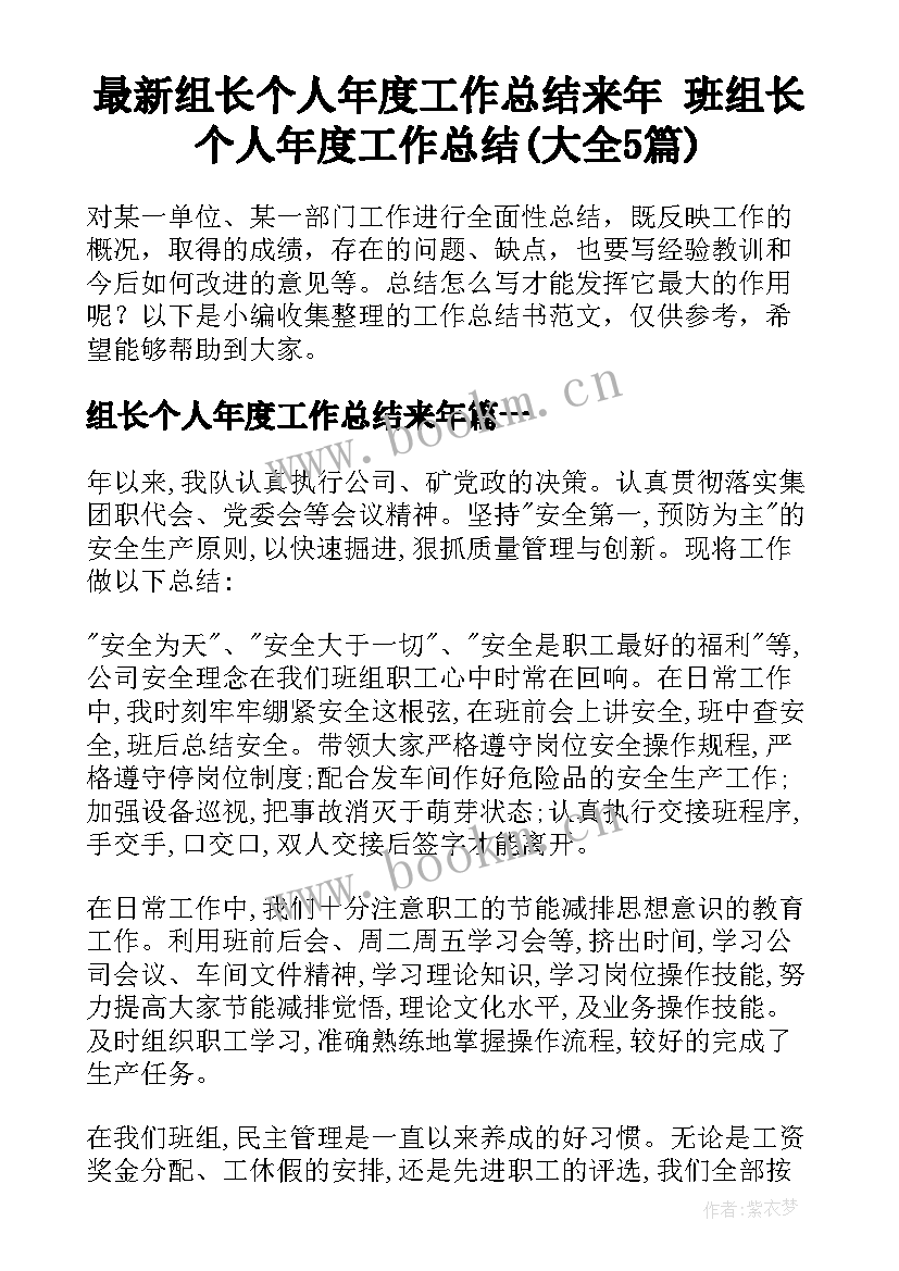 最新组长个人年度工作总结来年 班组长个人年度工作总结(大全5篇)