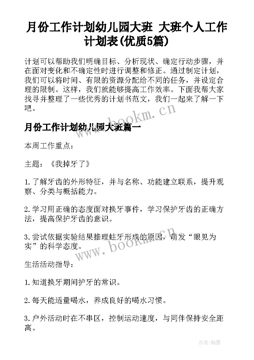 月份工作计划幼儿园大班 大班个人工作计划表(优质5篇)