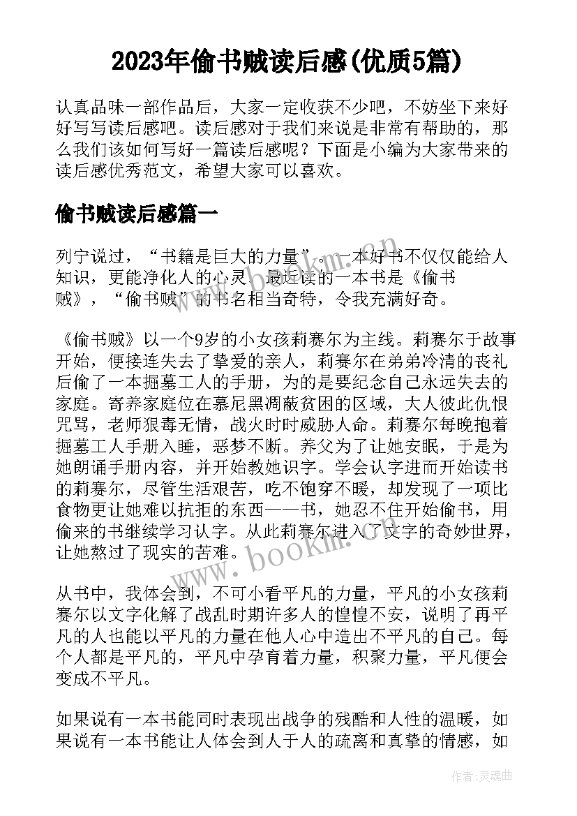 2023年偷书贼读后感(优质5篇)