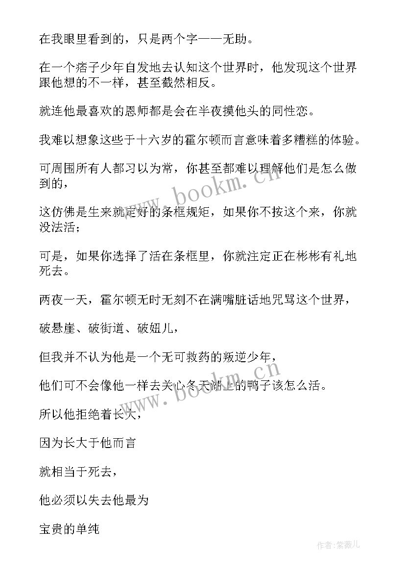 最新麦田里的守望者的读后感 麦田里的守望者读后感(优秀7篇)