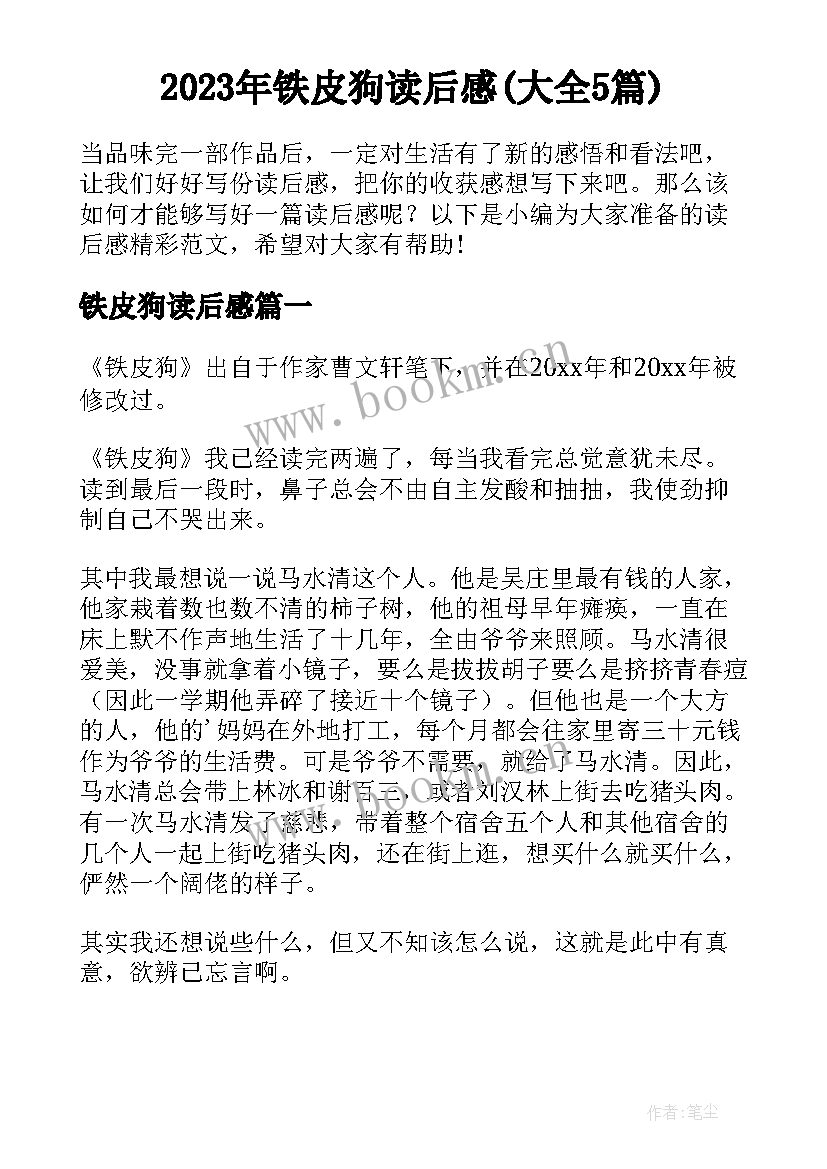 2023年铁皮狗读后感(大全5篇)