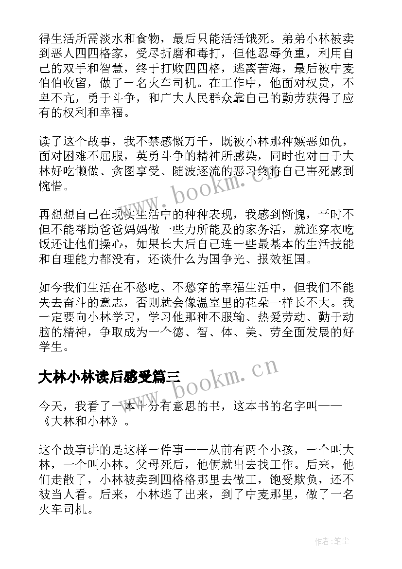 大林小林读后感受(优秀7篇)