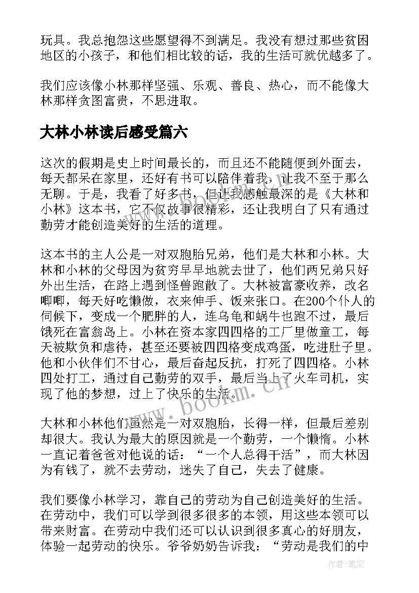 大林小林读后感受(优秀7篇)