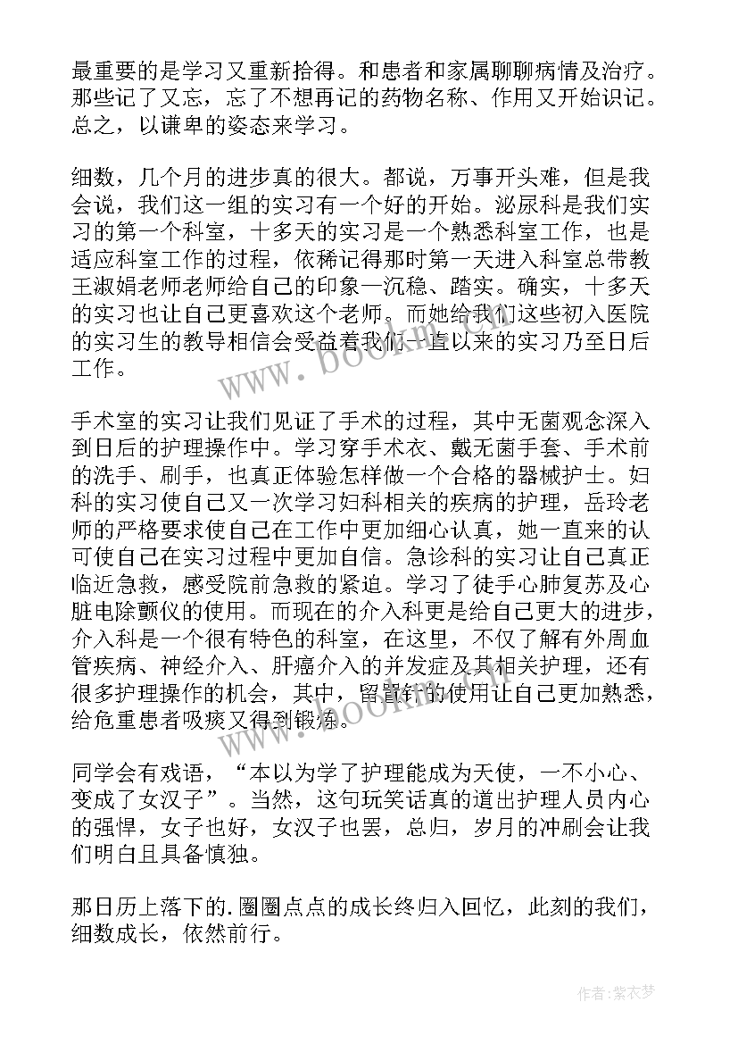 2023年护理学自我鉴定(实用10篇)