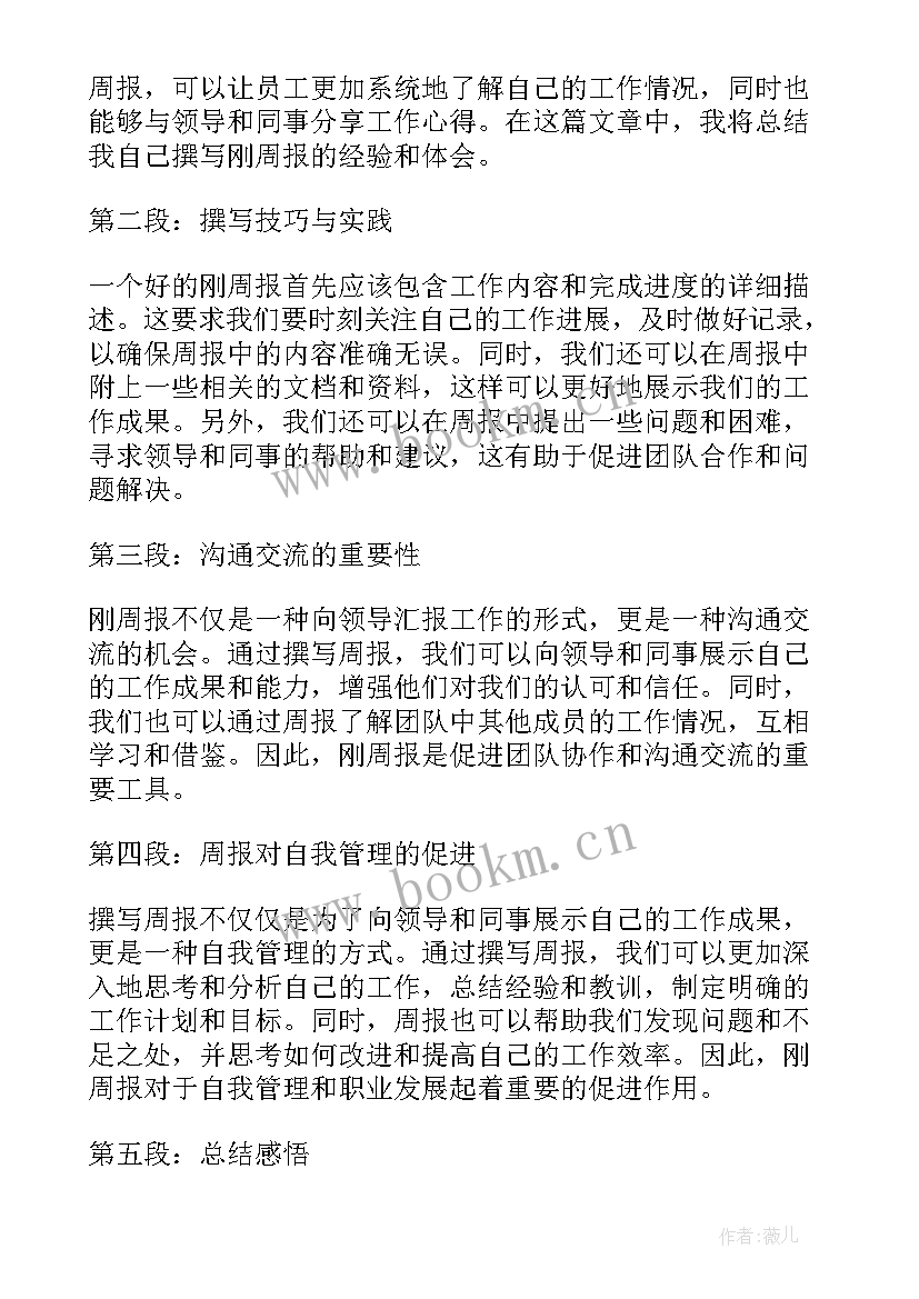 2023年双周报工作总结(精选5篇)