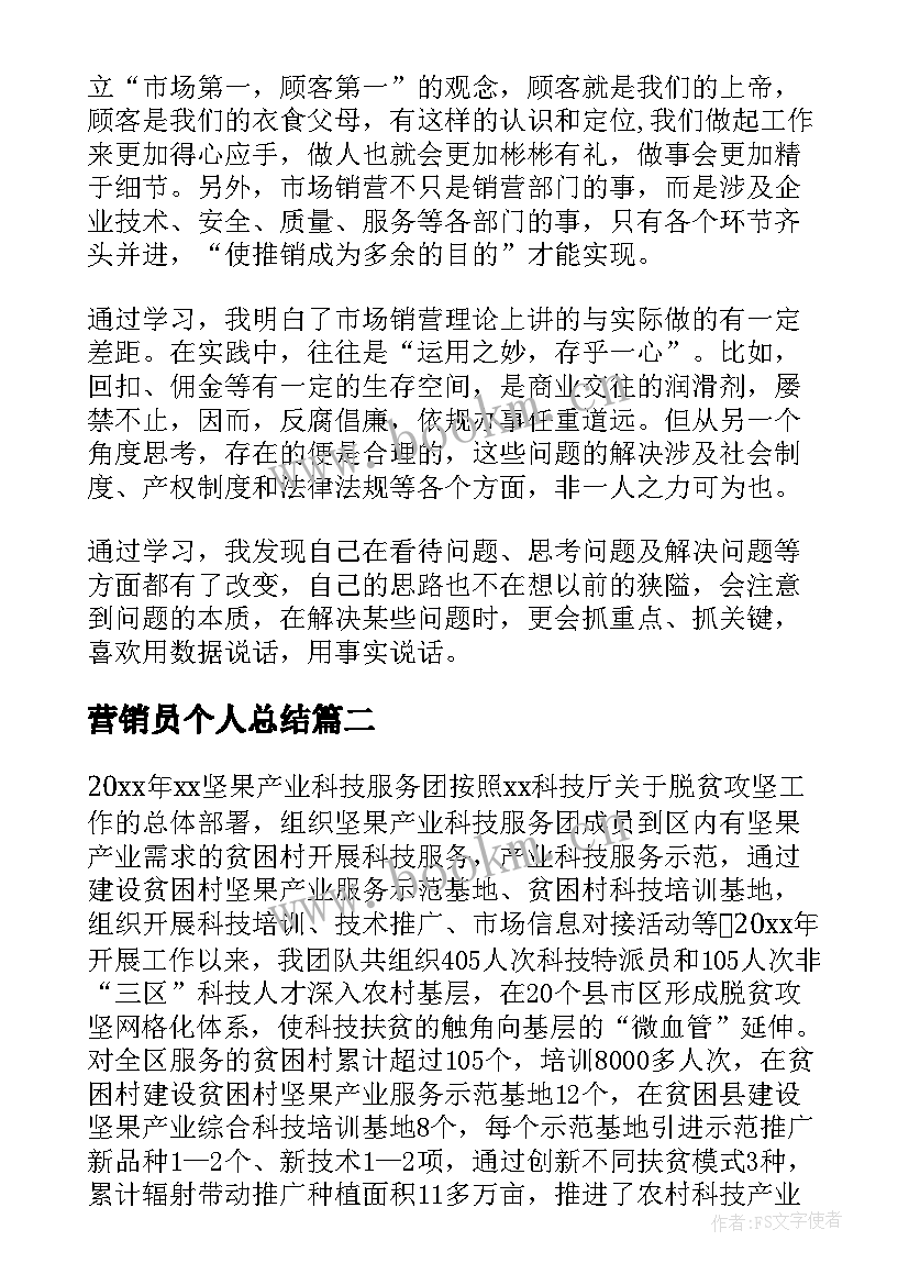 最新营销员个人总结(精选6篇)