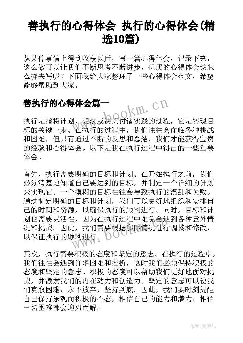 善执行的心得体会 执行的心得体会(精选10篇)