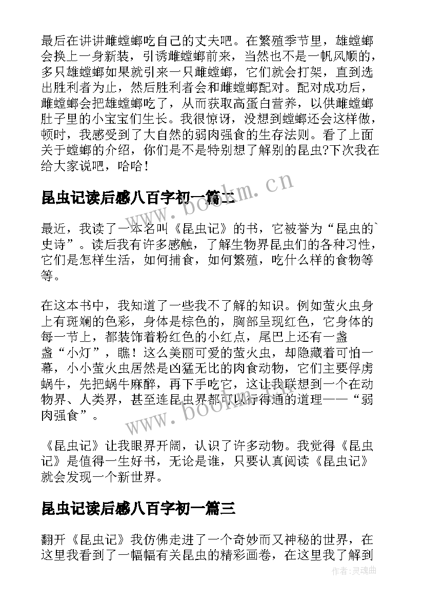 昆虫记读后感八百字初一(优质8篇)